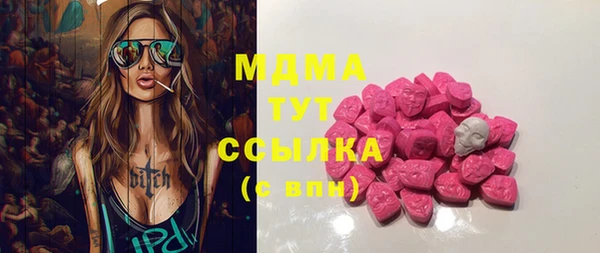 МДПВ Инсар