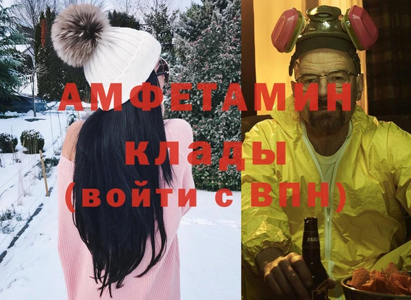 МДПВ Инсар