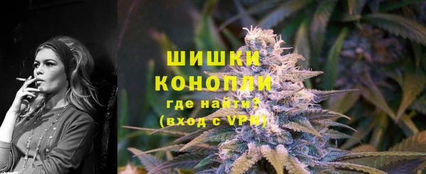 МДПВ Инсар