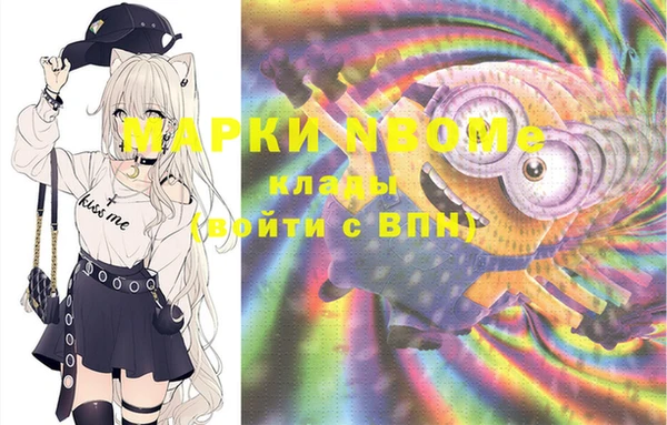 МДПВ Инсар