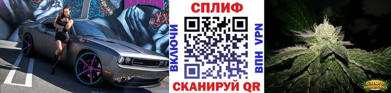 Купить закладки  Ивдель  Бошки Шишки Ganja 